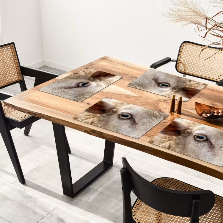 Placemat - 6 stuks - Schaap - Oog - Wit — 5