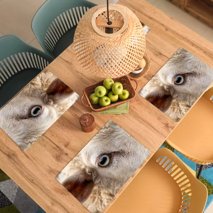 Placemat - 6 stuks - Schaap - Oog - Wit — 6