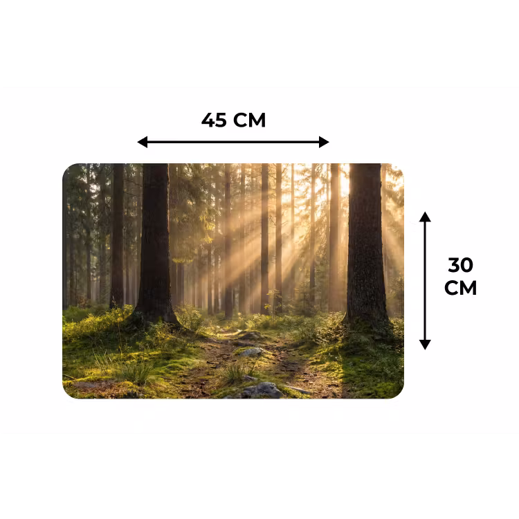 Placemat - 6 stuks - Bos - Zonlicht - Gras — 3