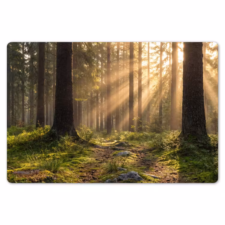 Placemat - 6 stuks - Bos - Zonlicht - Gras — 7