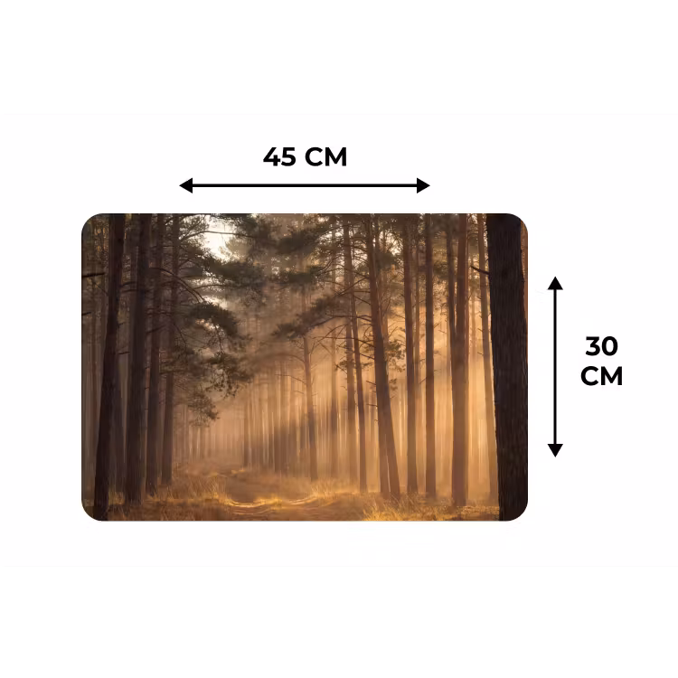 Placemat - 6 stuks - Bos - Mist - Zonlicht — 3