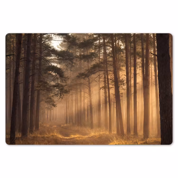 Placemat - 6 stuks - Bos - Mist - Zonlicht — 7
