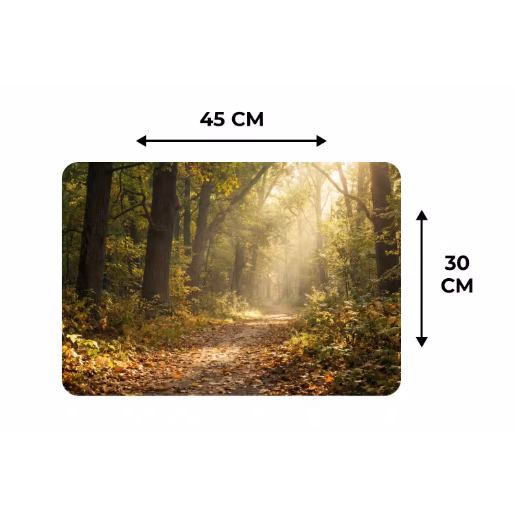 Placemat - 6 stuks - Zonlicht - Bospad - Bomen — 3