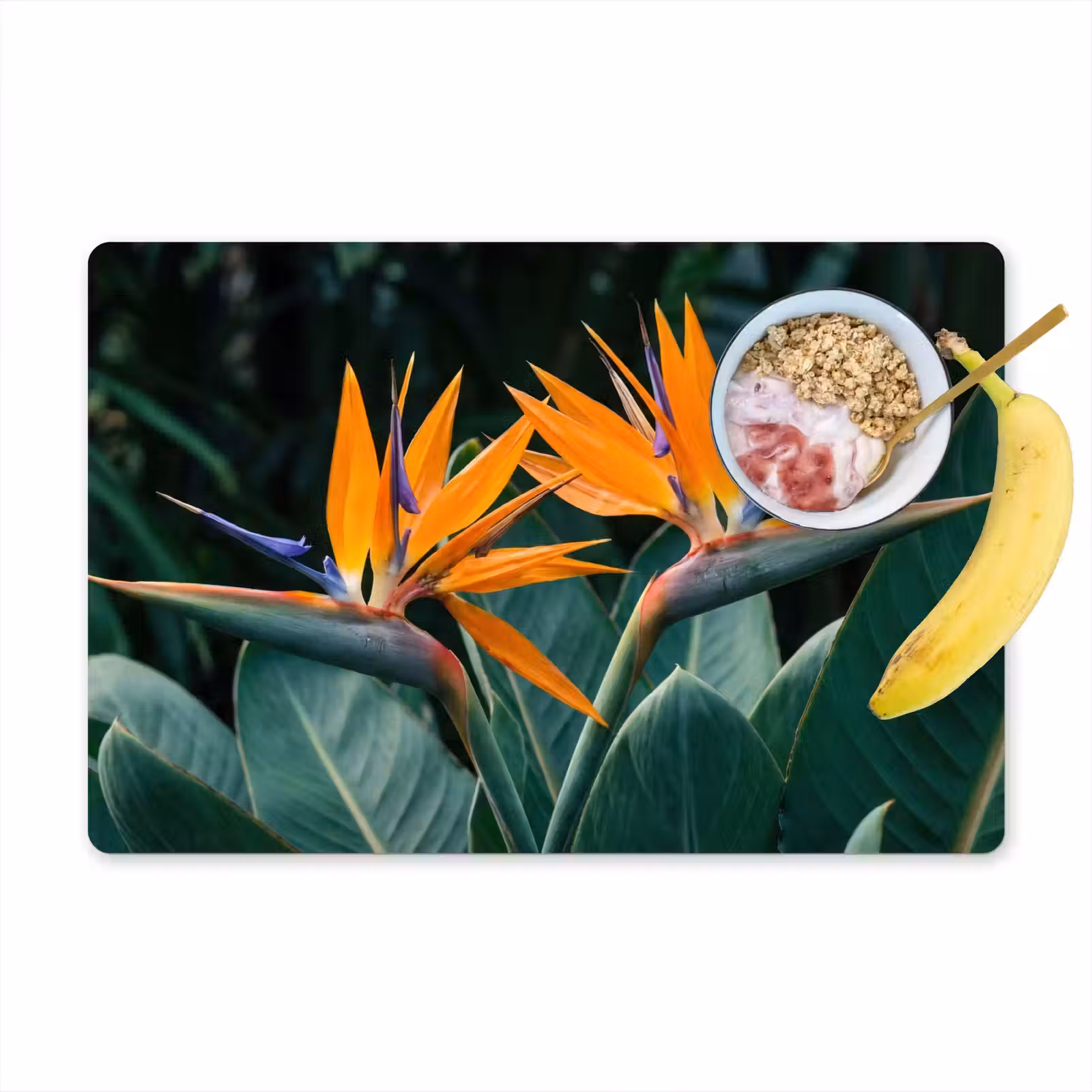 Placemat - 6 stuks - Paradijsvogel - Bloem - Exotisch — 1