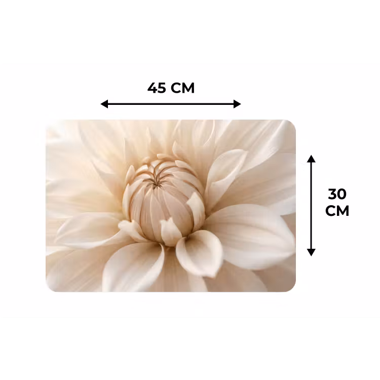 Placemat - 6 stuks - Bloem - Dahlia - Wit — 3