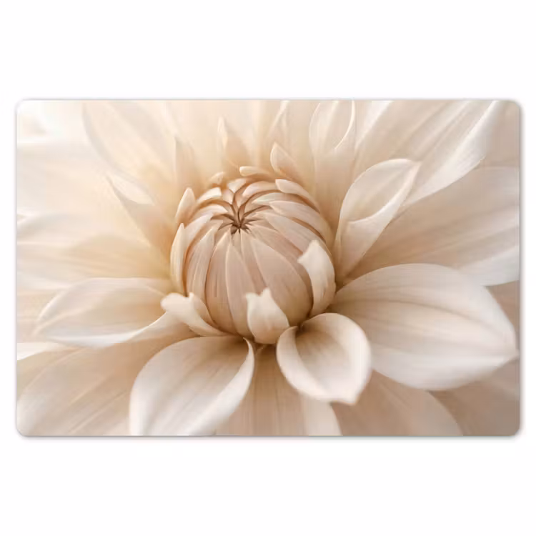 Placemat - 6 stuks - Bloem - Dahlia - Wit — 7