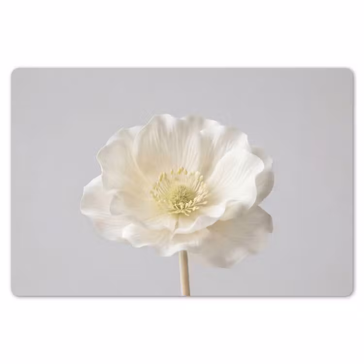 Placemat - 6 stuks - Bloem - Minimalistisch -Wit — 7