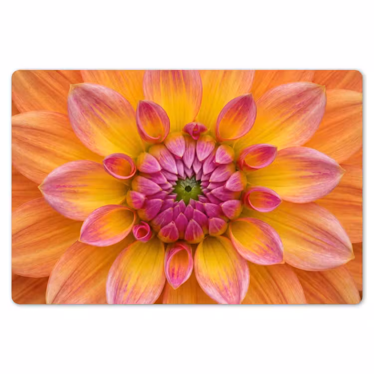 Placemat - 6 stuks - Dahlia - Bloem - Oranje — 7