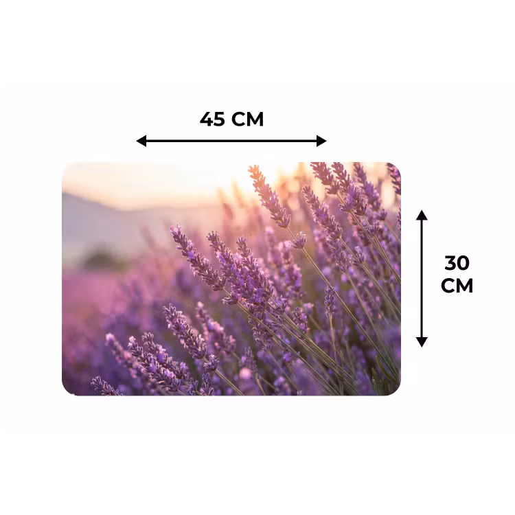 Placemat - 6 stuks - Lavendel - Paars - Zonlicht — 3