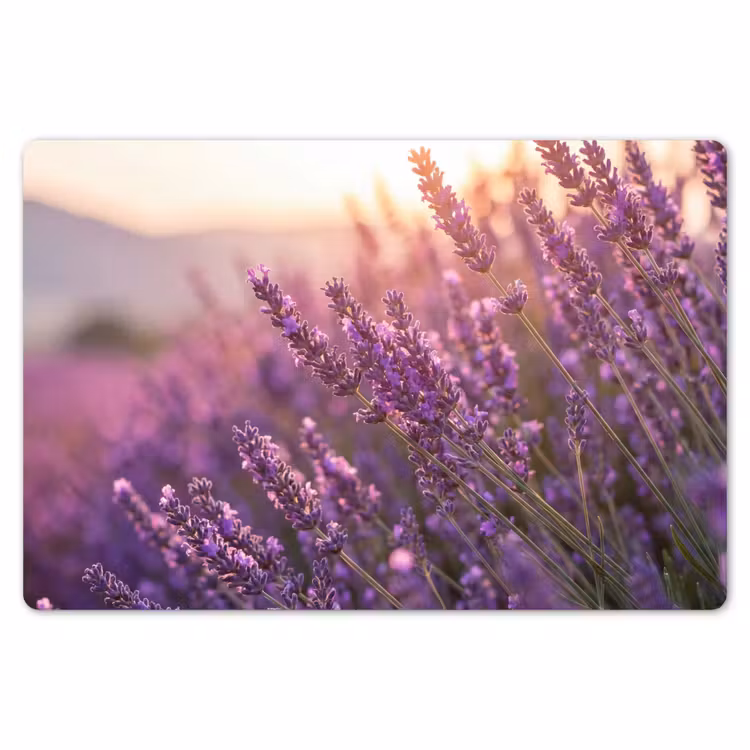 Placemat - 6 stuks - Lavendel - Paars - Zonlicht — 7