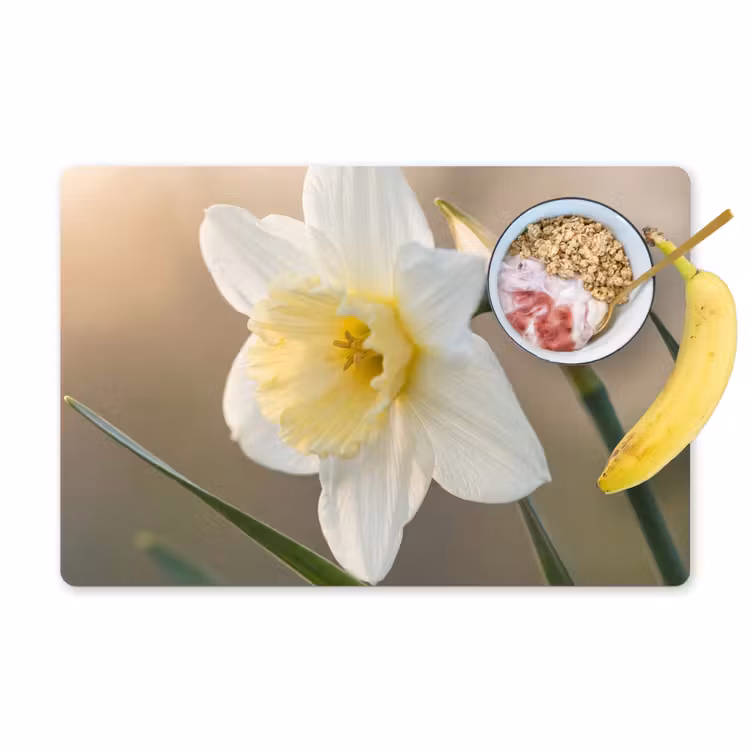 Placemat - 6 stuks - Narcis - Bloem - Minimalistisch — 1