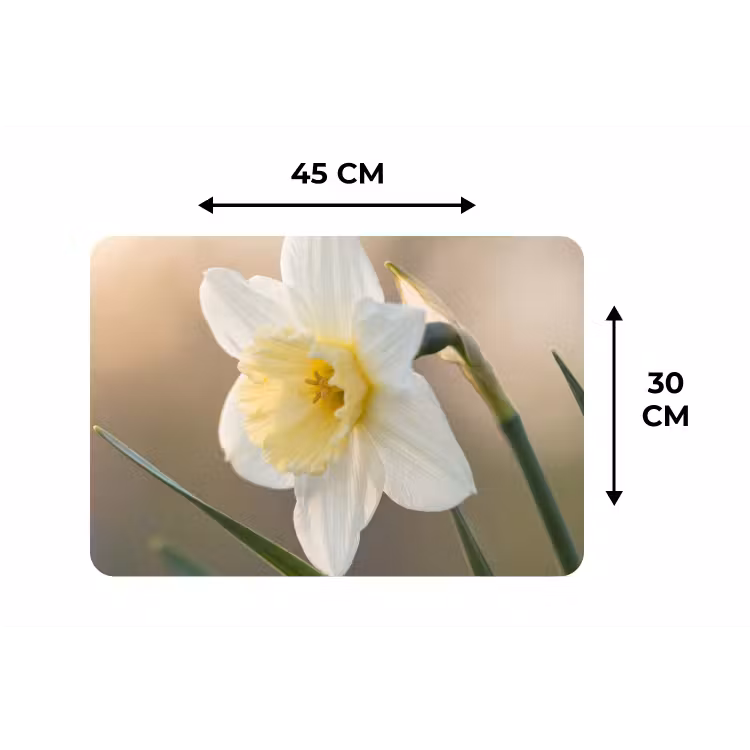 Placemat - 6 stuks - Narcis - Bloem - Minimalistisch — 3