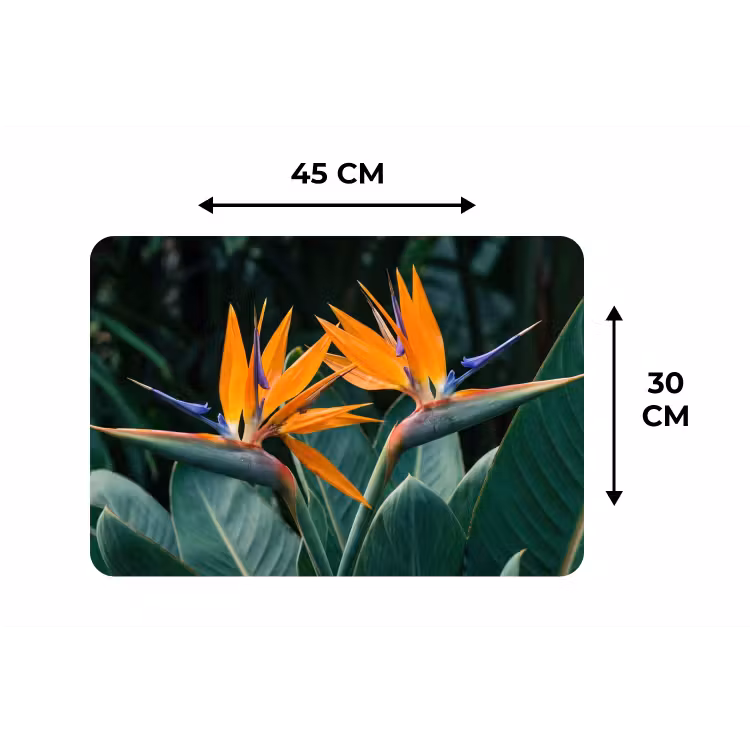 Placemat - 6 stuks - Paradijsvogel - Bloem - Exotisch — 3