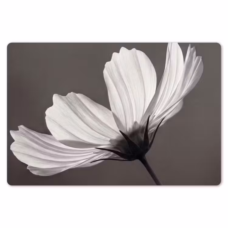 Placemat - 6 stuks - Bloem - Minimalistisch - Zwart - Wit — 7