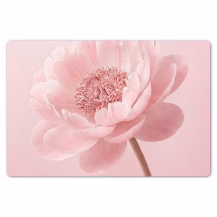Placemat - 6 stuks - Bloem - Pioenroos - Roze — 7
