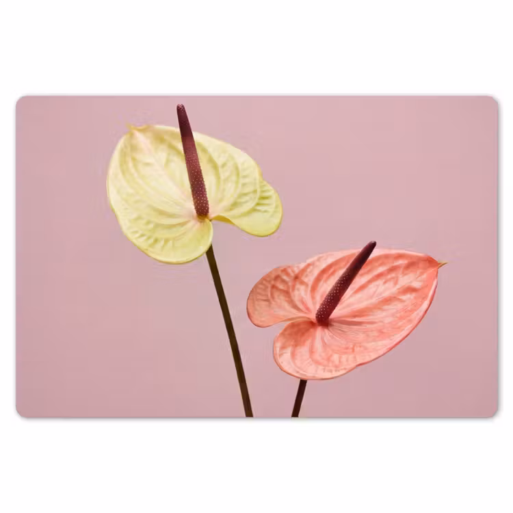 Placemat - 6 stuks - Bloemen - Anthuriums - Geel - Roze — 7