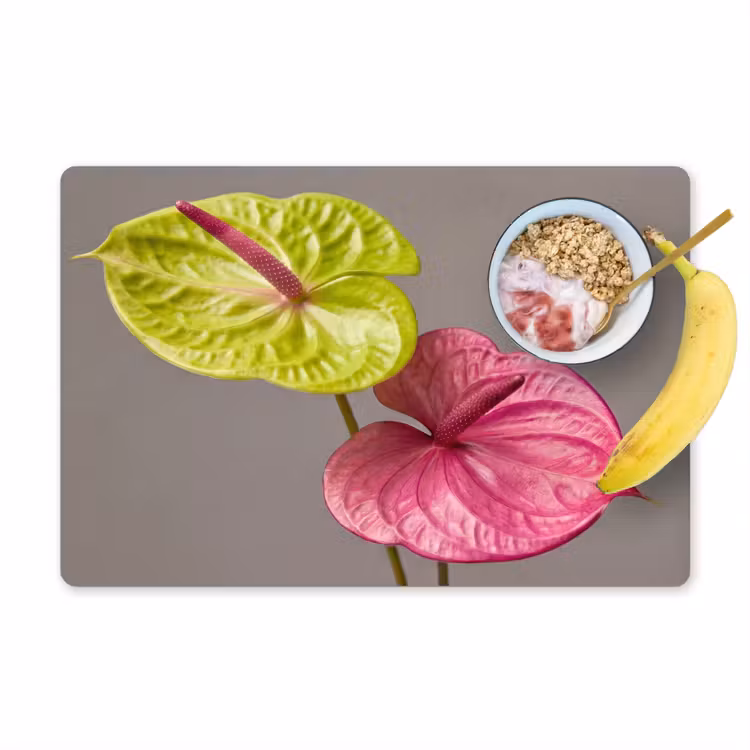 Placemat - 6 stuks - Planten - Anthurium - Groen - Roze — 1