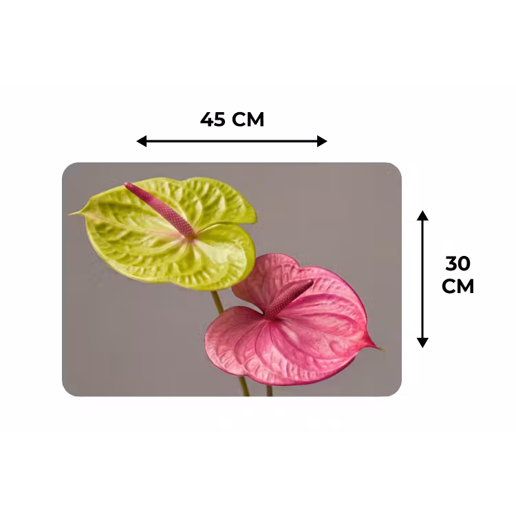 Placemat - 6 stuks - Planten - Anthurium - Groen - Roze — 3