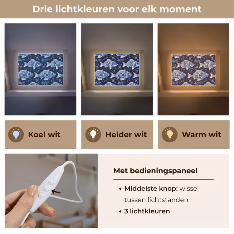 Lightbox - Wandlamp - Vissen - Bloemen - Blauw — 7