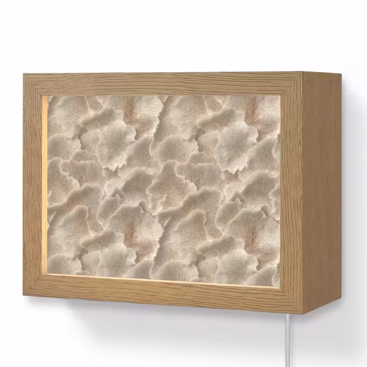 Lightbox - Wandlamp - Waaierstructuren - Beige - Vezeltextuur — 1