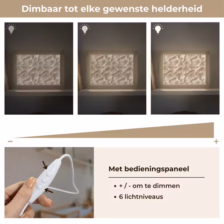 Lightbox - Wandlamp - Waaierstructuren - Beige - Vezeltextuur — 8