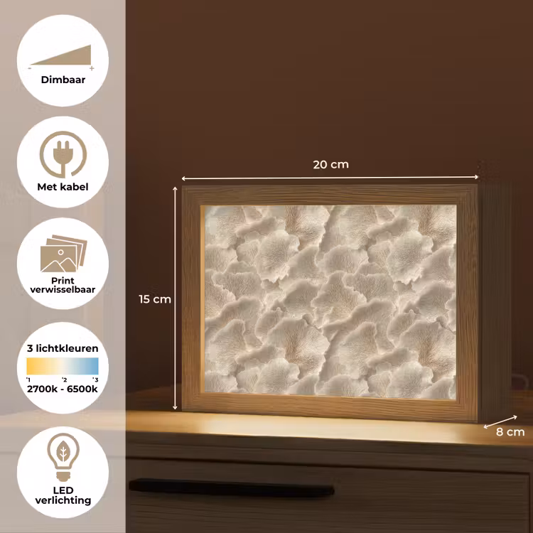 Lightbox - Wandlamp - Waaierstructuren - Beige - Vezeltextuur — 9