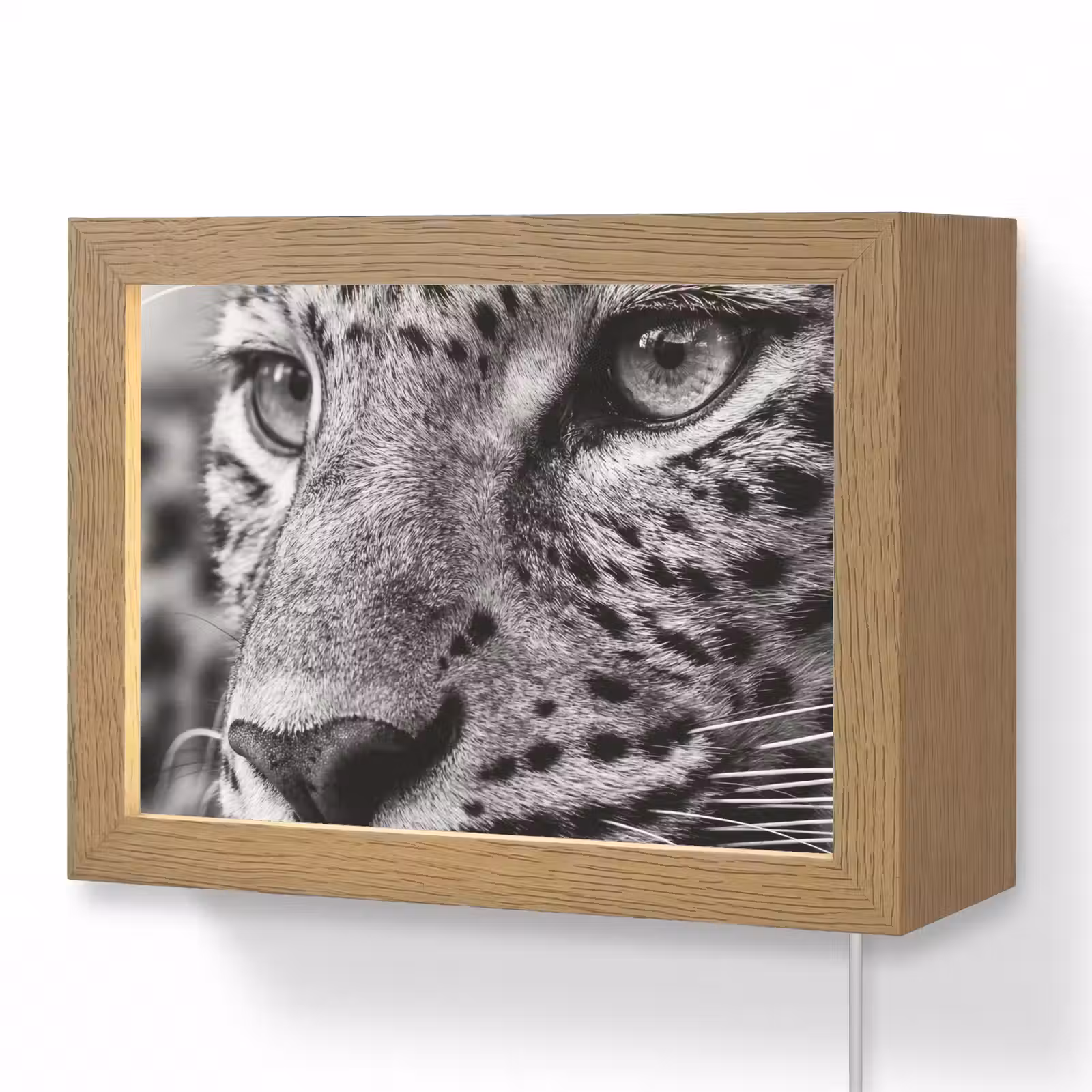 Lightbox - Wandlamp - Luipaard - Zwart - Wit - Oog — 1