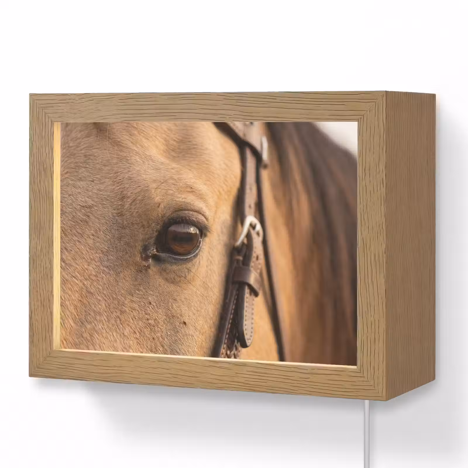 Lightbox - Wandlamp - Paard - Oog - Bruin — 1