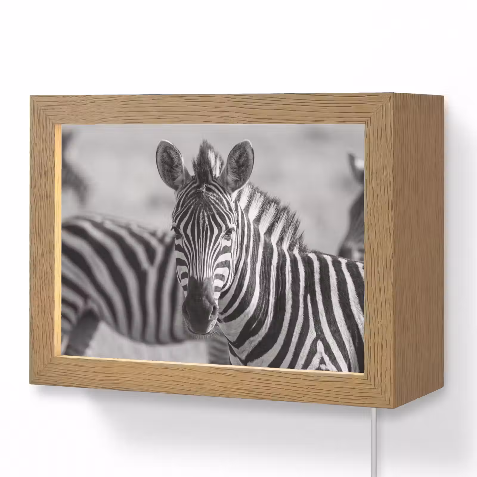Lightbox - Wandlamp - Zebra's - Zwart - Wit — 1