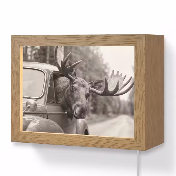 Lightbox - Wandlamp - Eland - Auto - Gewei - Zwart - Wit — 1