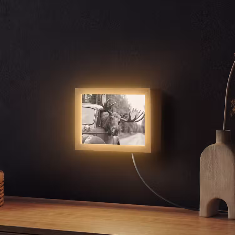 Lightbox - Wandlamp - Eland - Auto - Gewei - Zwart - Wit — 2