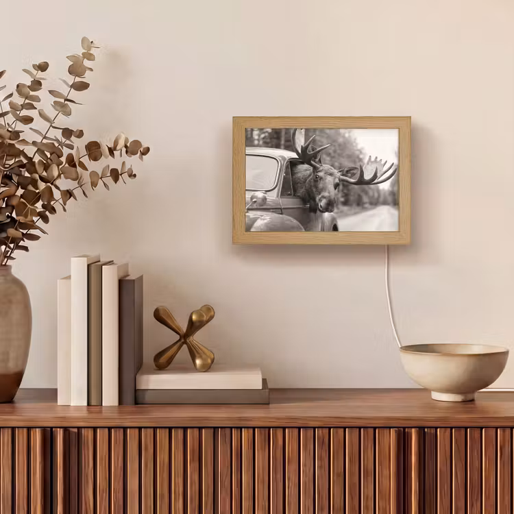 Lightbox - Wandlamp - Eland - Auto - Gewei - Zwart - Wit — 4