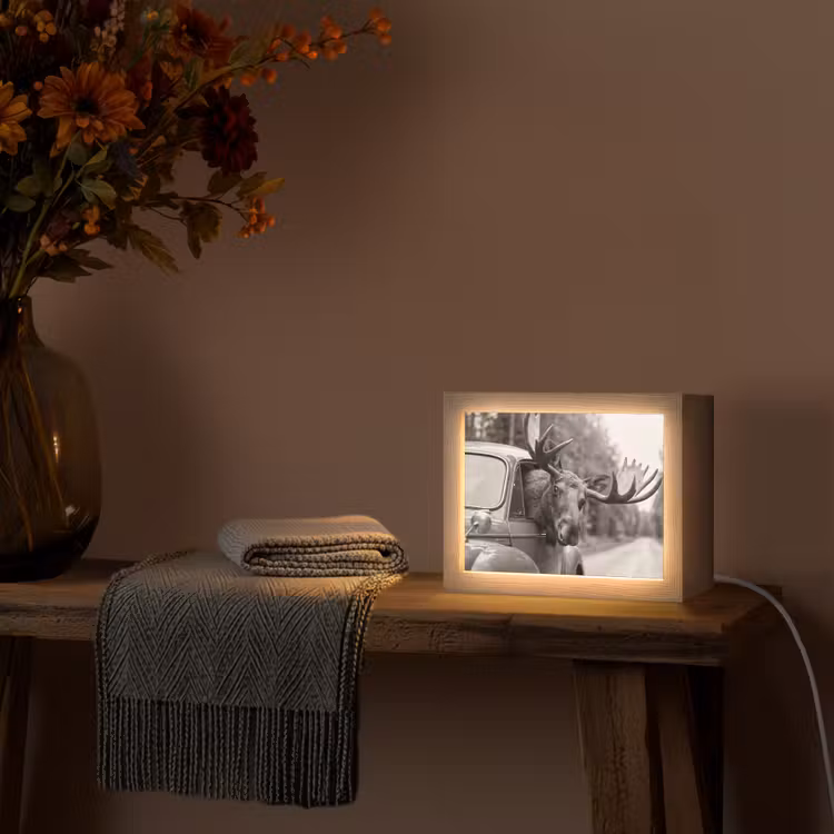 Lightbox - Wandlamp - Eland - Auto - Gewei - Zwart - Wit — 5