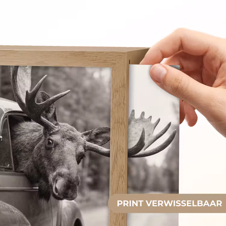 Lightbox - Wandlamp - Eland - Auto - Gewei - Zwart - Wit — 6
