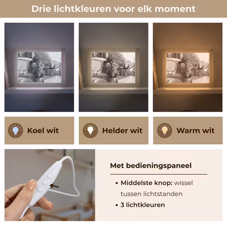 Lightbox - Wandlamp - Eland - Auto - Gewei - Zwart - Wit — 7
