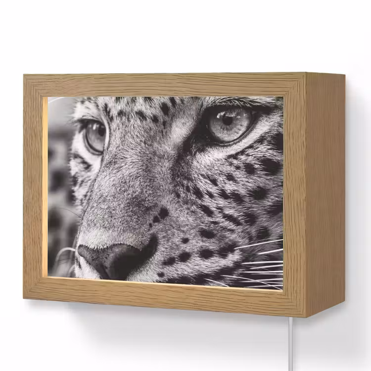 Lightbox - Wandlamp - Luipaard - Zwart - Wit - Oog — 1