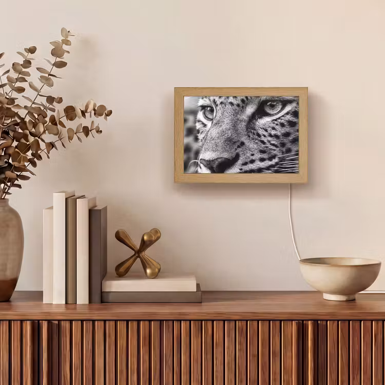 Lightbox - Wandlamp - Luipaard - Zwart - Wit - Oog — 4