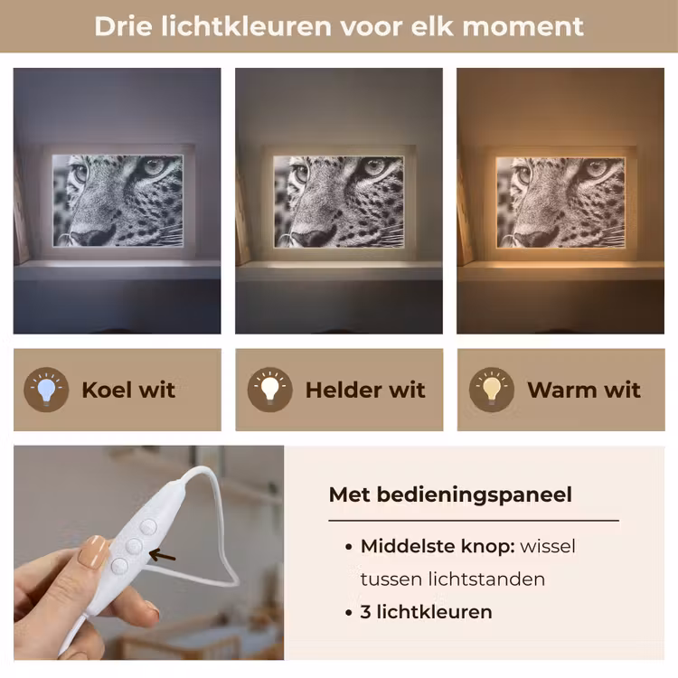 Lightbox - Wandlamp - Luipaard - Zwart - Wit - Oog — 7