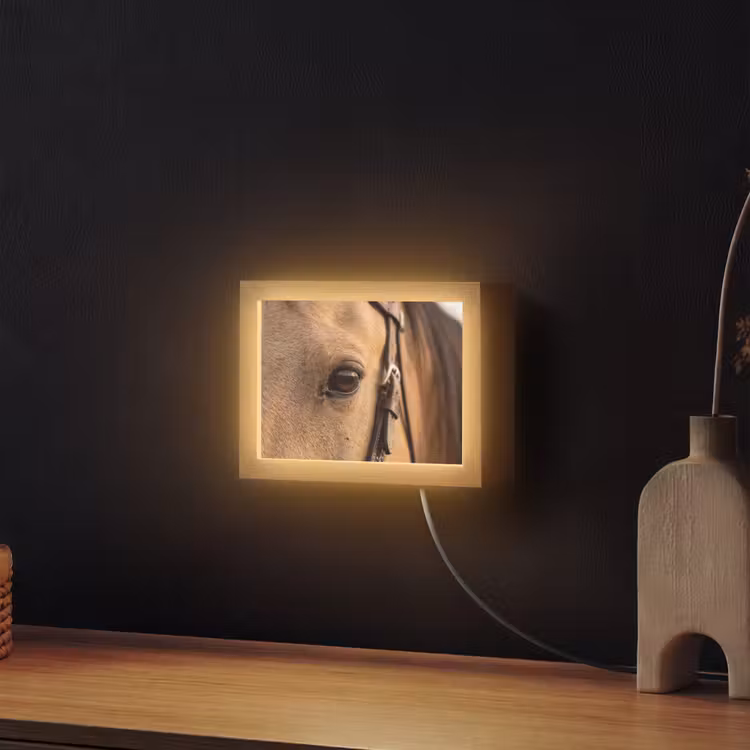 Lightbox - Wandlamp - Paard - Oog - Bruin — 2