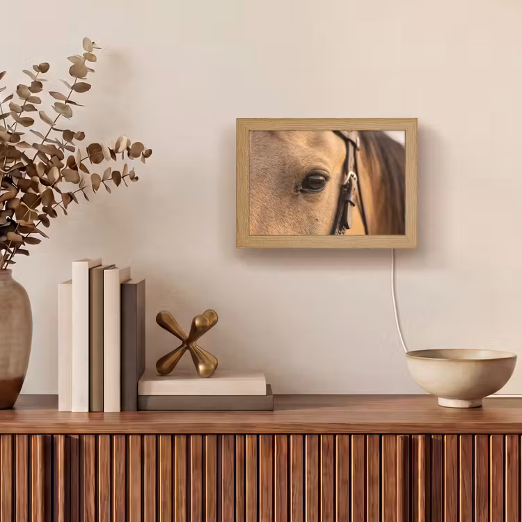 Lightbox - Wandlamp - Paard - Oog - Bruin — 4