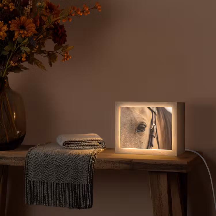 Lightbox - Wandlamp - Paard - Oog - Bruin — 5