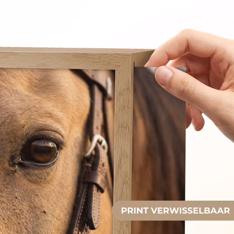 Lightbox - Wandlamp - Paard - Oog - Bruin — 6