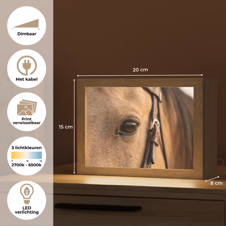 Lightbox - Wandlamp - Paard - Oog - Bruin — 9