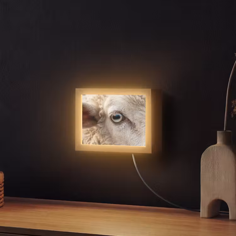 Lightbox - Wandlamp - Schaap - Oog - Wit — 2