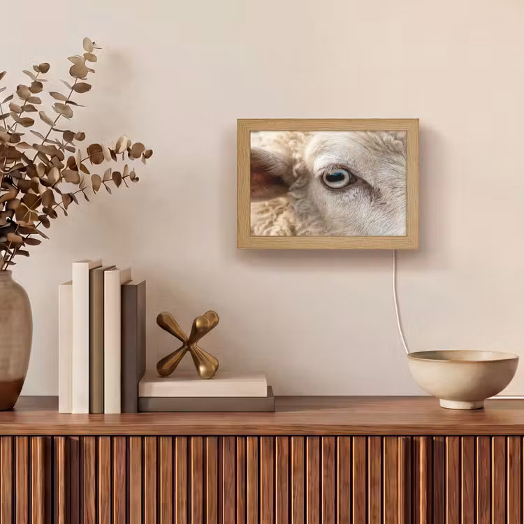 Lightbox - Wandlamp - Schaap - Oog - Wit — 4