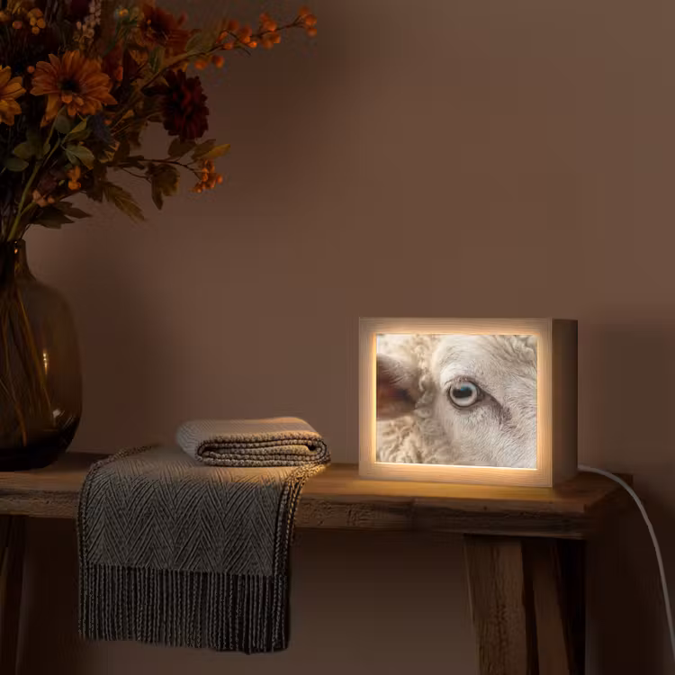 Lightbox - Wandlamp - Schaap - Oog - Wit — 5