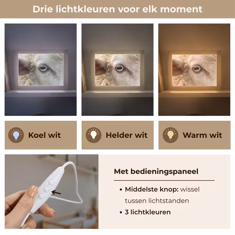 Lightbox - Wandlamp - Schaap - Oog - Wit — 7