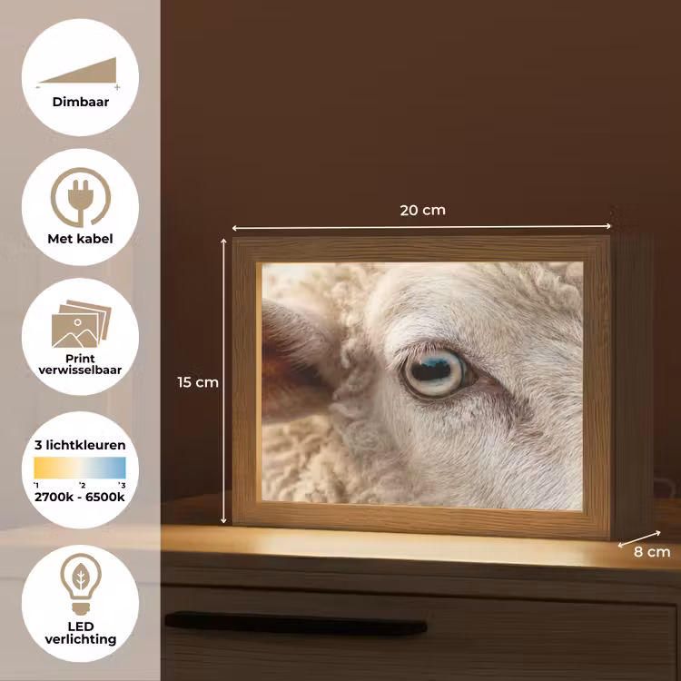 Lightbox - Wandlamp - Schaap - Oog - Wit — 9