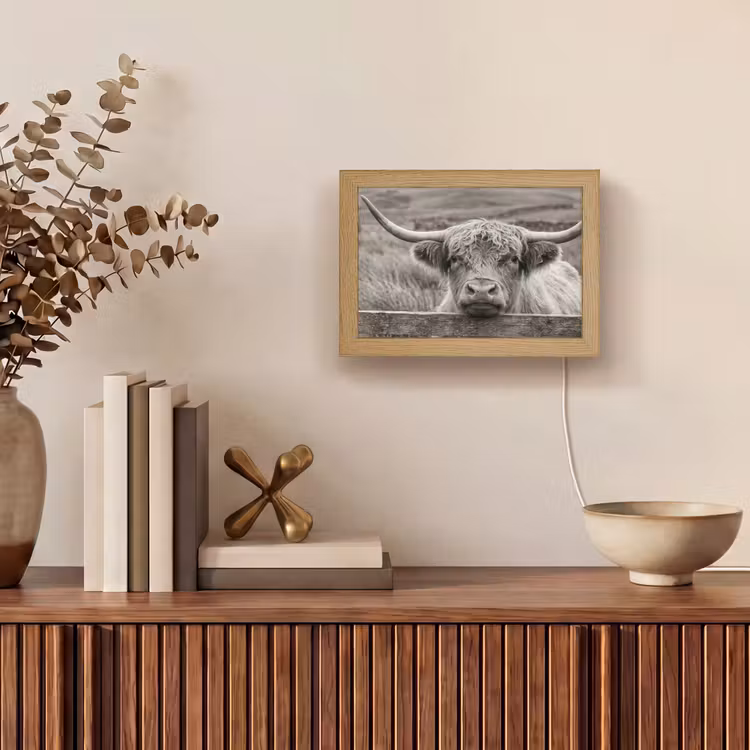 Lightbox - Wandlamp - Schotse hooglander - Zwart - Wit - Hout — 4