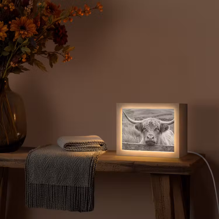 Lightbox - Wandlamp - Schotse hooglander - Zwart - Wit - Hout — 5